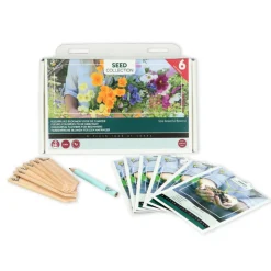 Buzzy Collection Kweekset 6 Kleurrijke Bloemen Voor De Starter 1 set