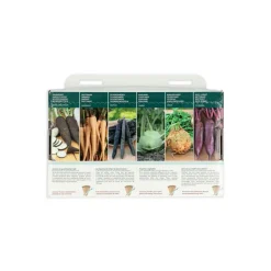 Buzzy Collection Kweekset 6 Groente Uit Grootmoeders Tijd! 1 set