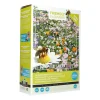 Buzzy Friendly Flowers XL Bijen Laag 50 m²