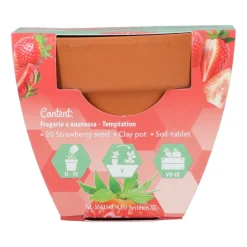 Buzzy Groeicadeautje Aardbei