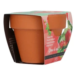 Buzzy Groeicadeautje Aardbei