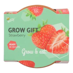 Buzzy Groeicadeautje Aardbei