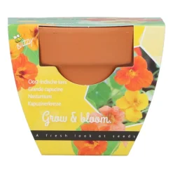 Buzzy Groeicadeautje Oost-Indische Kers