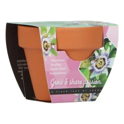 Buzzy Groeicadeautje Passiflora