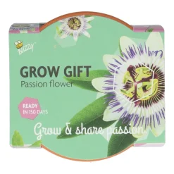 Buzzy Groeicadeautje Passiflora