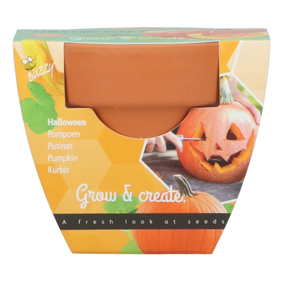 Buzzy Groeicadeautje Pompoen