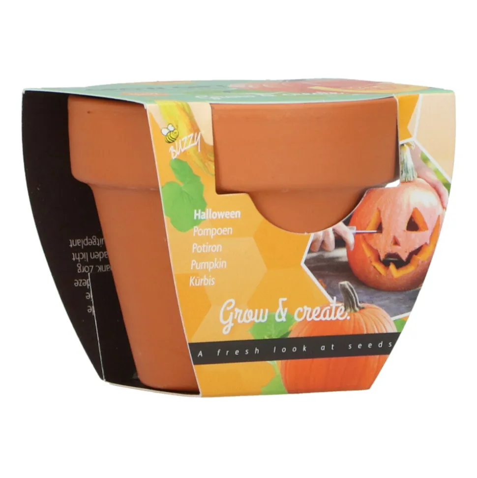 Buzzy Groeicadeautje Pompoen