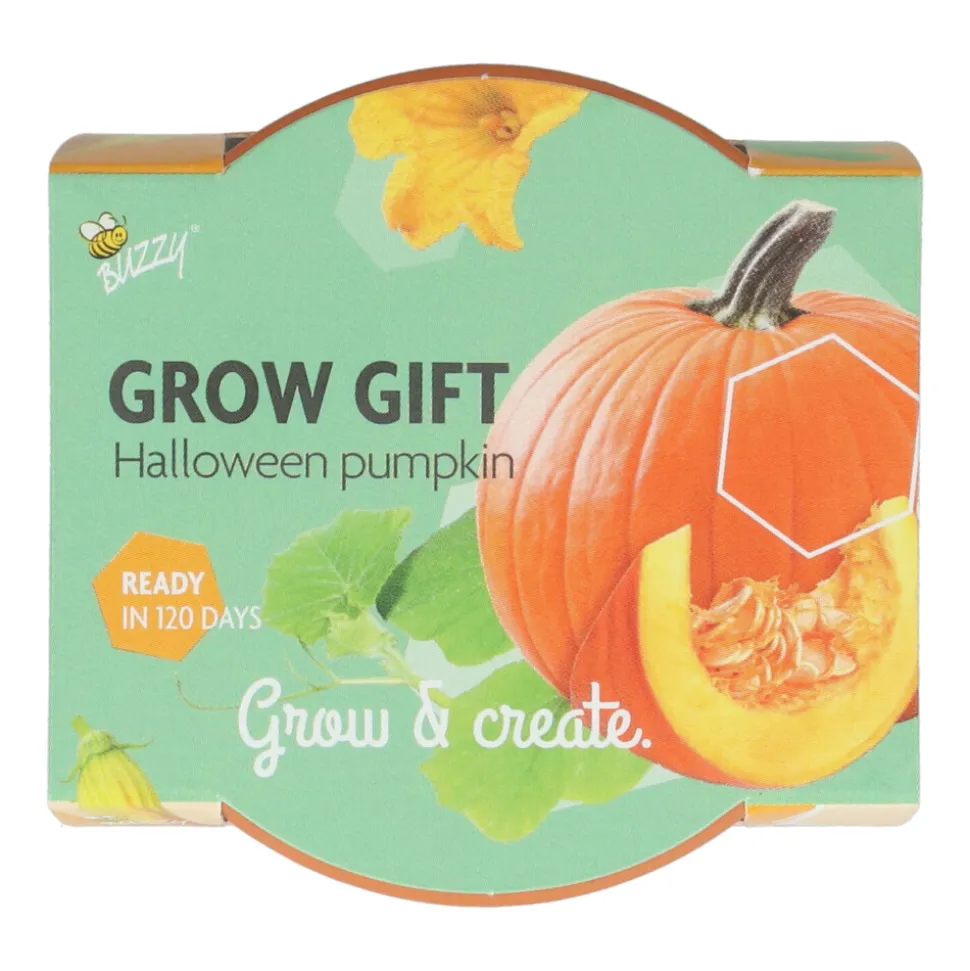 Buzzy Groeicadeautje Pompoen