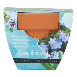 Buzzy Groeicadeautje Vergeet-me-niet