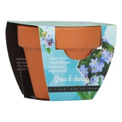 Buzzy Groeicadeautje Vergeet-me-niet