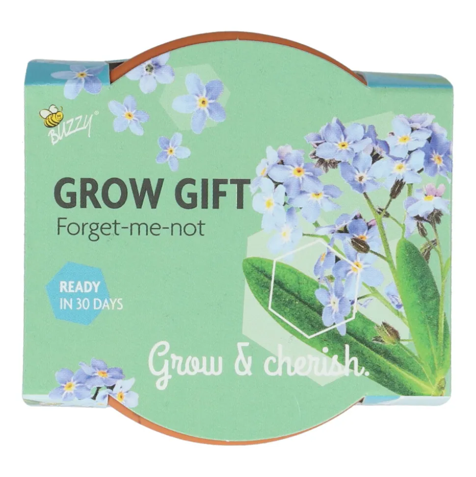 Buzzy Groeicadeautje Vergeet-me-niet