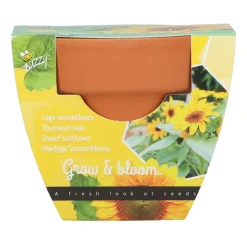 Buzzy Groeicadeautje Zonnebloem