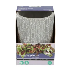 Buzzy House Plants Hangende Plantpot met Coleus zaden