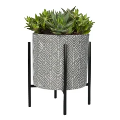 Buzzy House Plants Plantenpot in Standaard met Aloe Vera Zaden