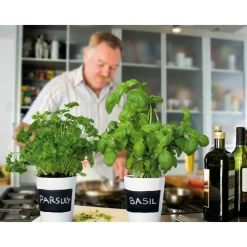 Buzzy Kruiden Set 3-delig Krijtpotten Wit 1 set