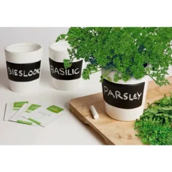 Buzzy Kruiden Set 3-delig Krijtpotten Wit 1 set