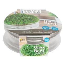 Buzzy Kweekset Glazen Bowl met Rucola Biologisch