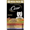 Cesar Alu Hondenvoer Multi-pack Kuipje Cuisine in Saus 24 x 150 gr
