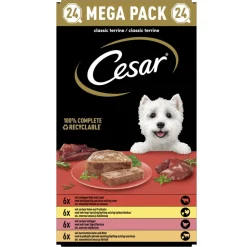 Cesar Alu Hondenvoer Multi-pack Kuipje Classic in Pate 24 x 150 gr