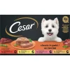 Cesar Classic Selection in Gelei 600 gr
