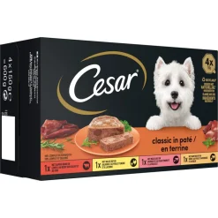 Cesar Classic Selection in Gelei 600 gr