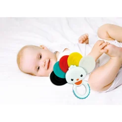 Clementoni Rammelaar Pauw