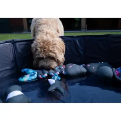 Coolpets Koelspeelgoed Pull me! Fishy Rope