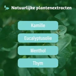 Dampo Vrijer Ademen 20 stuks