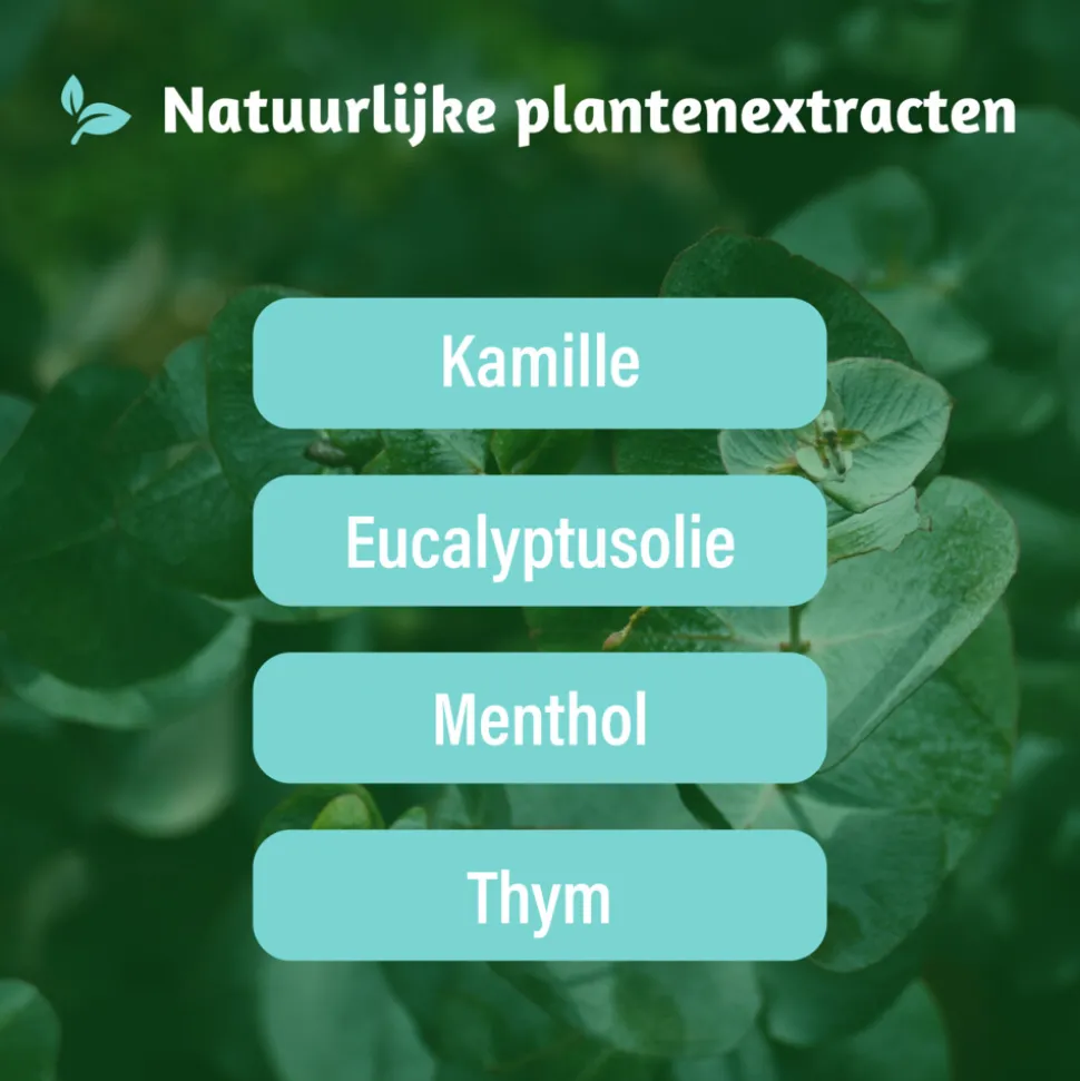 Dampo Vrijer Ademen 20 stuks