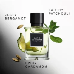 David Beckham Instinct Eau de Toilette 75 ml