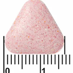 Davitamon Energie Boost Bosvruchten 40 kauwtabletten