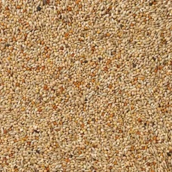 Deli Nature Basis Exoten Nummer 40 20 kg