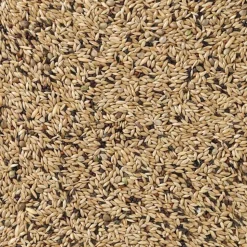 Deli Nature Kanarie Light Nummer 65 20 kg