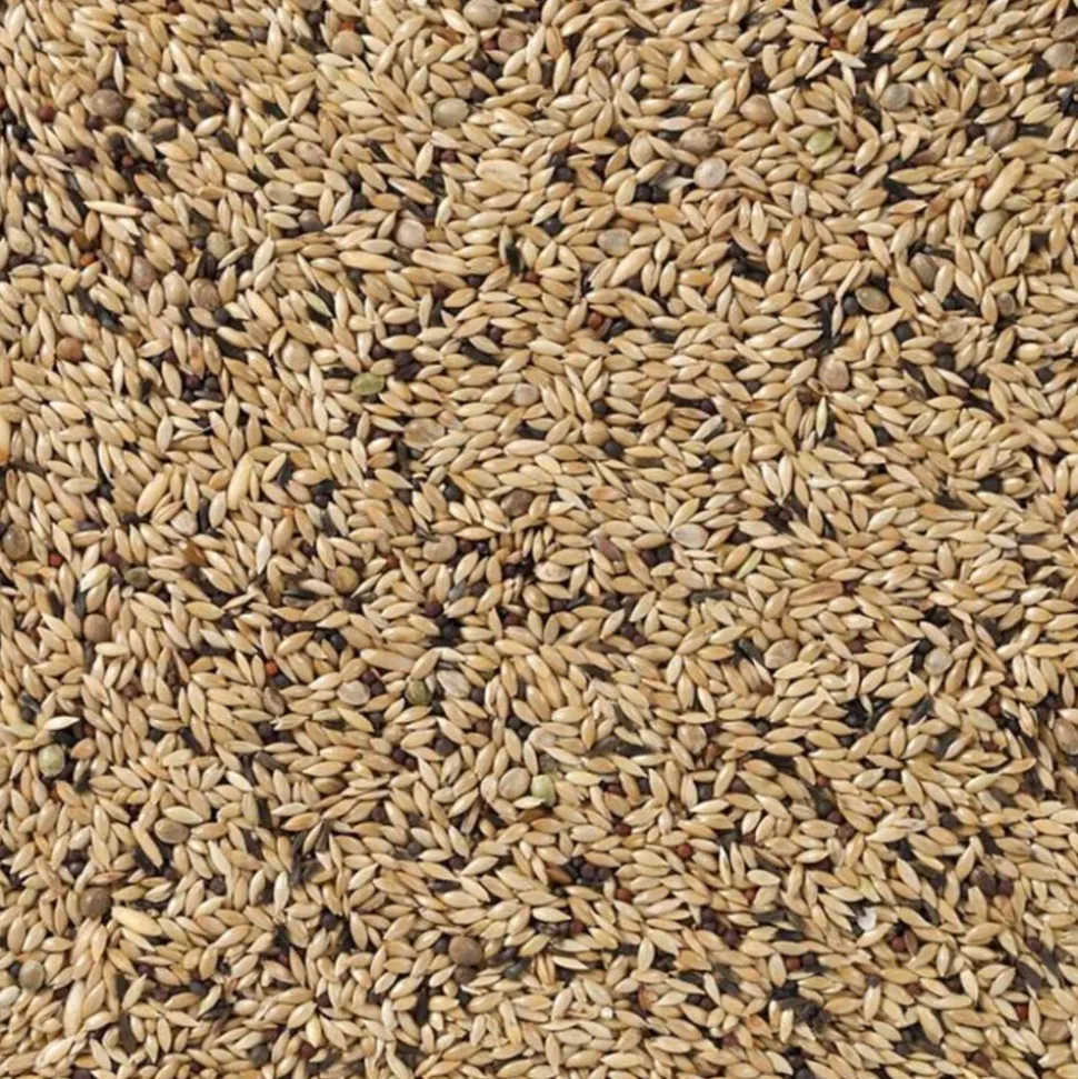 Deli Nature Kanarie Light Nummer 65 20 kg