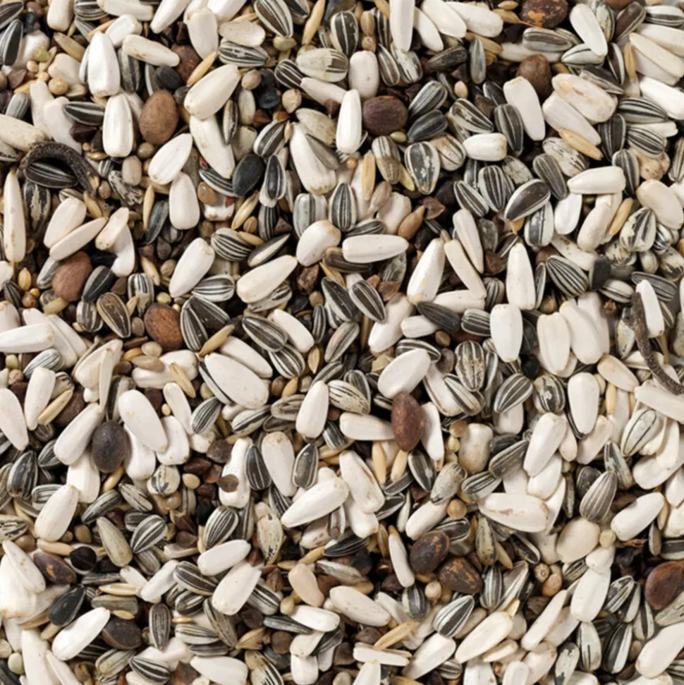 Deli Nature Kweek Papegaai Nummer 62 15 kg