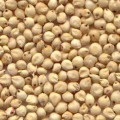 Deli Nature Millet Rood 20 kg