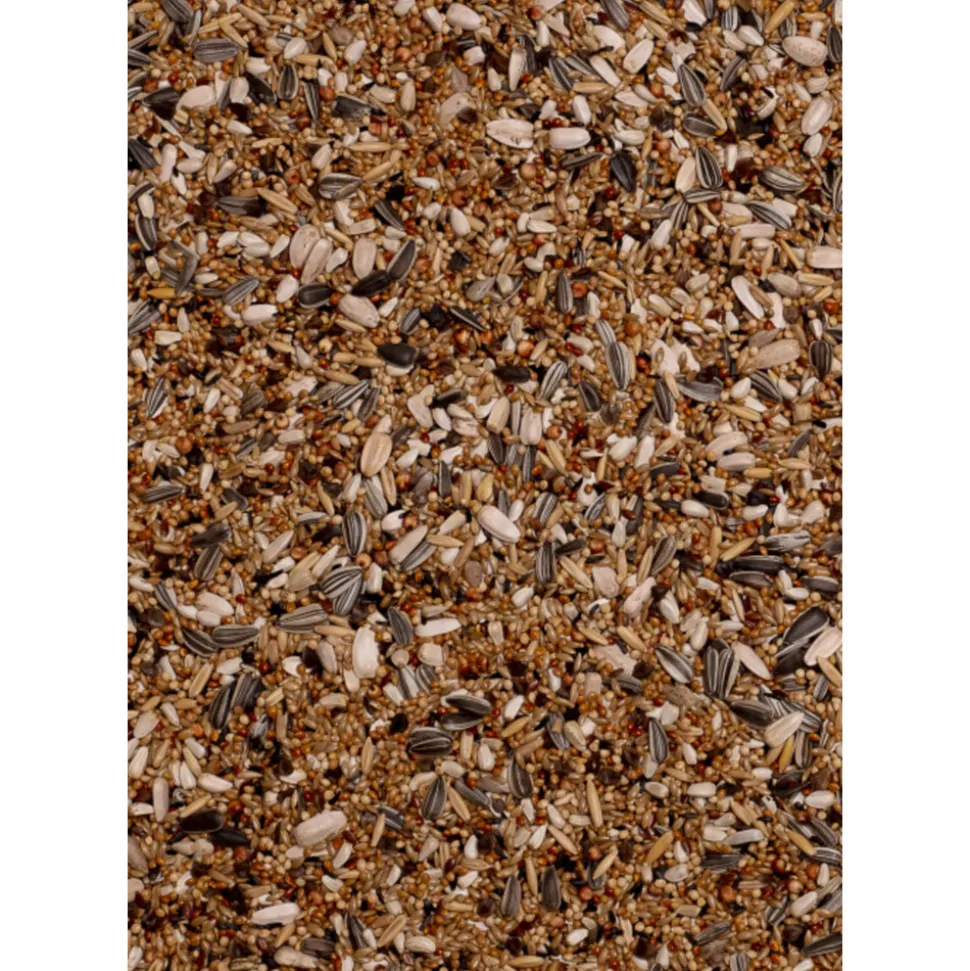 Deli Nature Premium Grote Parkiet 4 kg