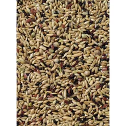 Deli Nature Premium Kanarie 1 kg