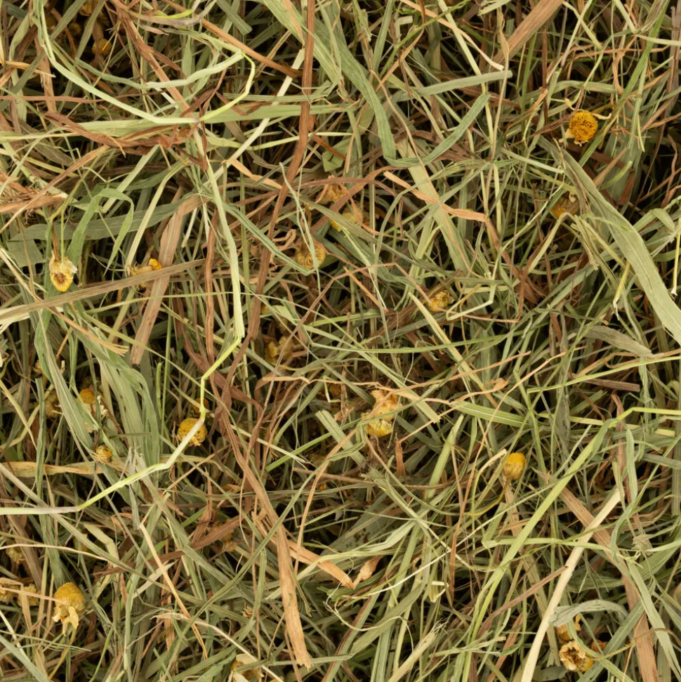 Deli Nature Rodelicious Kruidenhooi Kamille & Munt 600gr