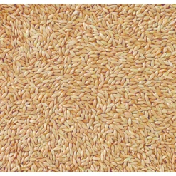 Deli Nature Witzaad - Kanariezaad 20 kg