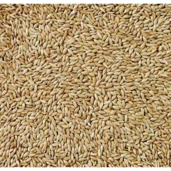 Deli Nature Witzaad Extra 86 20 kg