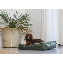 Designed by Lotte Ligkussen Nalino Hond Groen 70 x 55 x 15