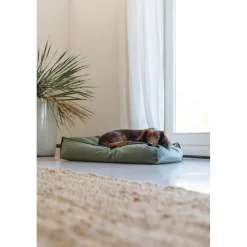 Designed by Lotte Ligkussen Nalino Hond Groen 70 x 55 x 15