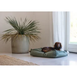 Designed by Lotte Ligkussen Nalino Hond Groen 70 x 55 x 15