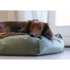 Designed by Lotte Ligkussen Nalino Hond Groen 70 x 55 x 15