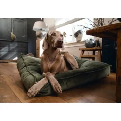 Designed by Lotte Ligkussen Fluweel Nalino Groen 100 x 70 x 15 cm