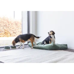 Designed by Lotte Ligkussen Fluweel Nalino Groen 100 x 70 x 15 cm