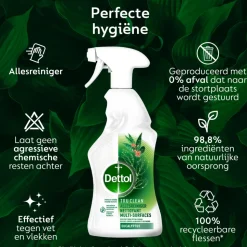 Dettol Allesreiniger Spray Eucalyptus 500 ml
