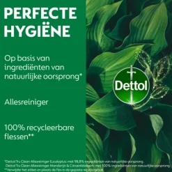 Dettol Allesreiniger Spray Mandarijn & Citroenbloesem 500 ml