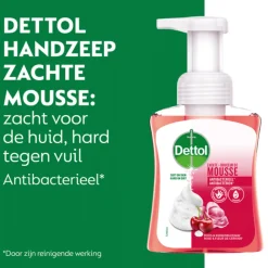 Dettol Foam Handzeep Rozen & Kers 250 ml